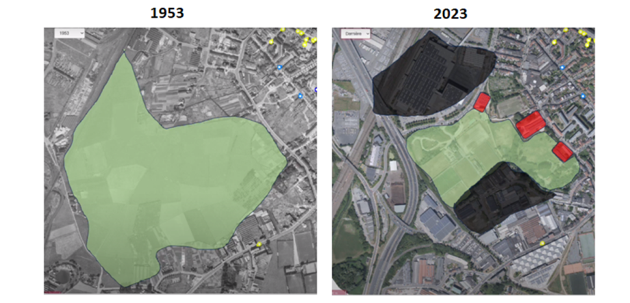 Bempt_1953-20231.png